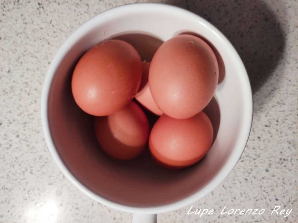 huevos cocidos