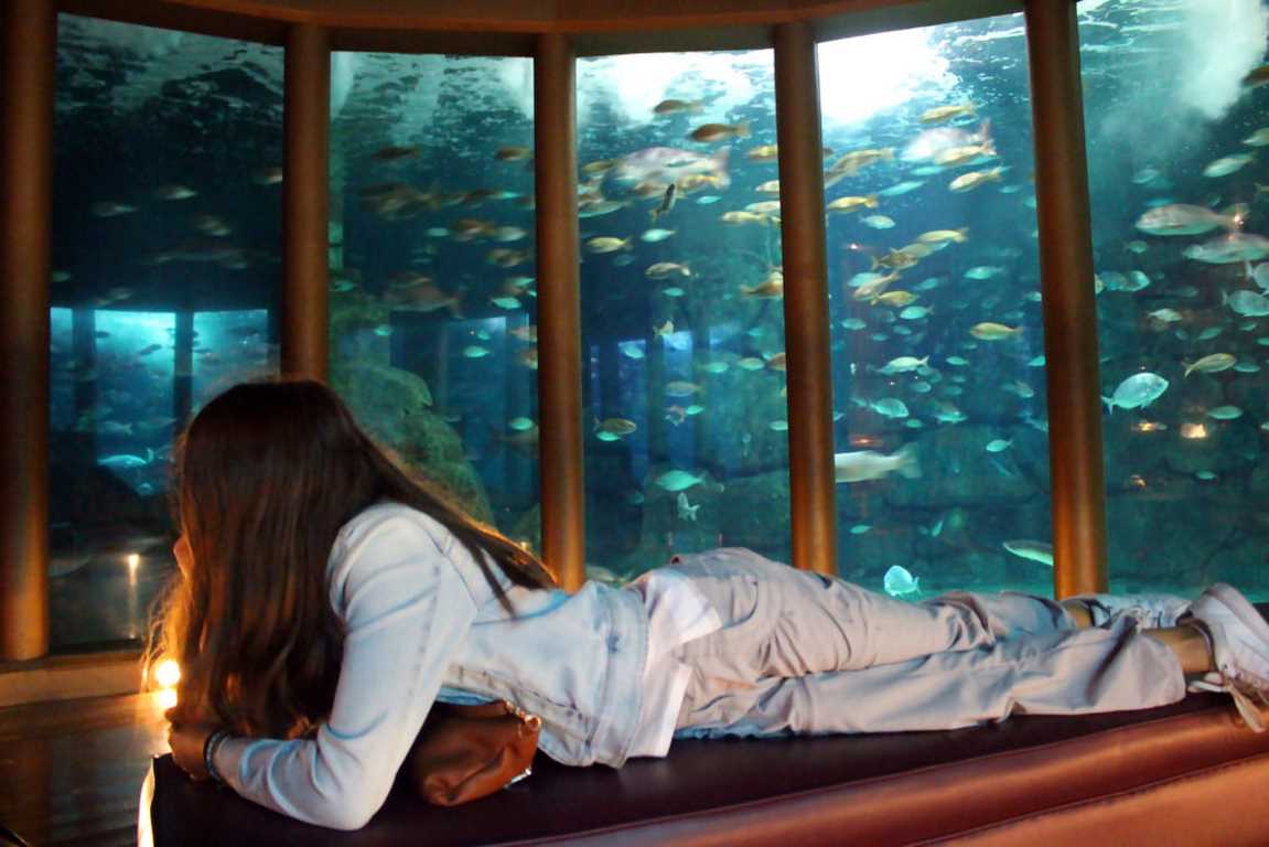 Aquarium Finisterrae