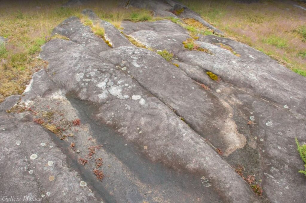 petroglifos