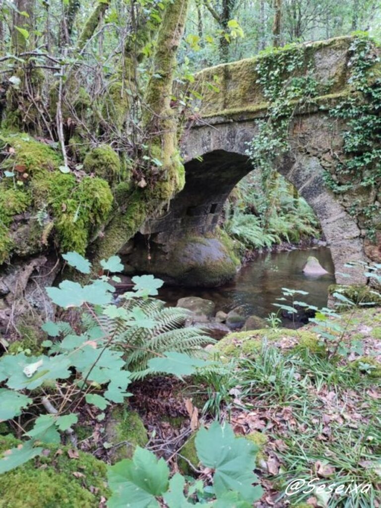 Ponte Santa en Gorgua