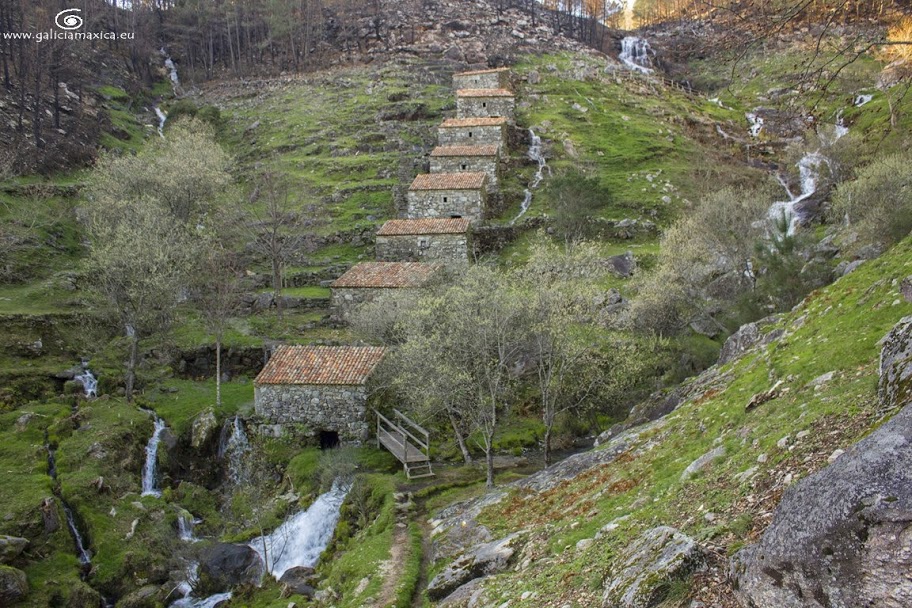 consejos para viajar con niños