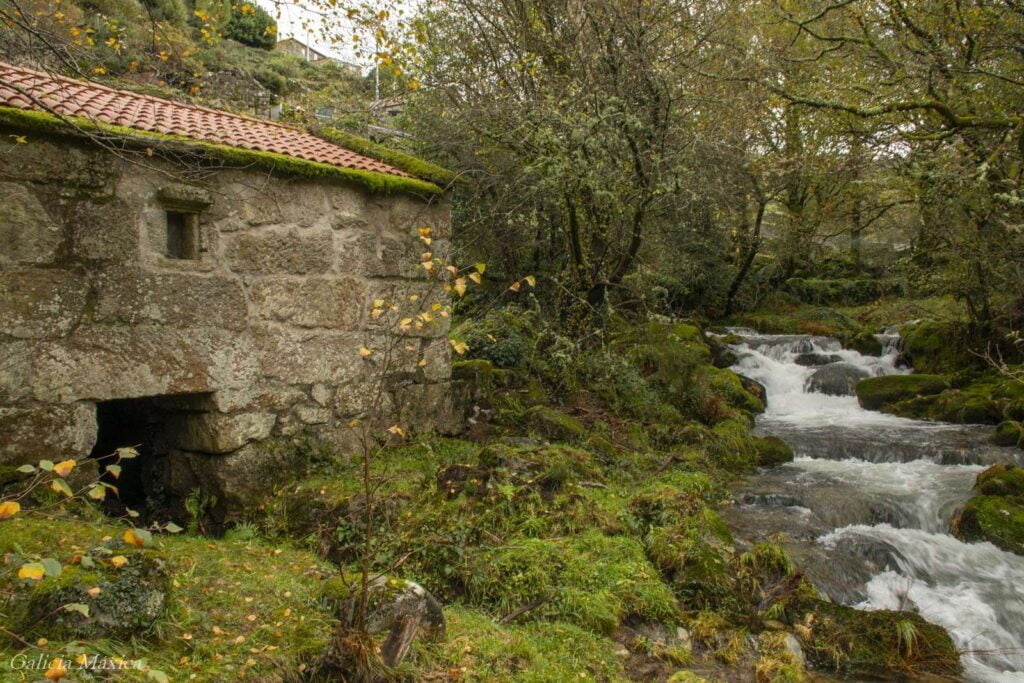 Molino