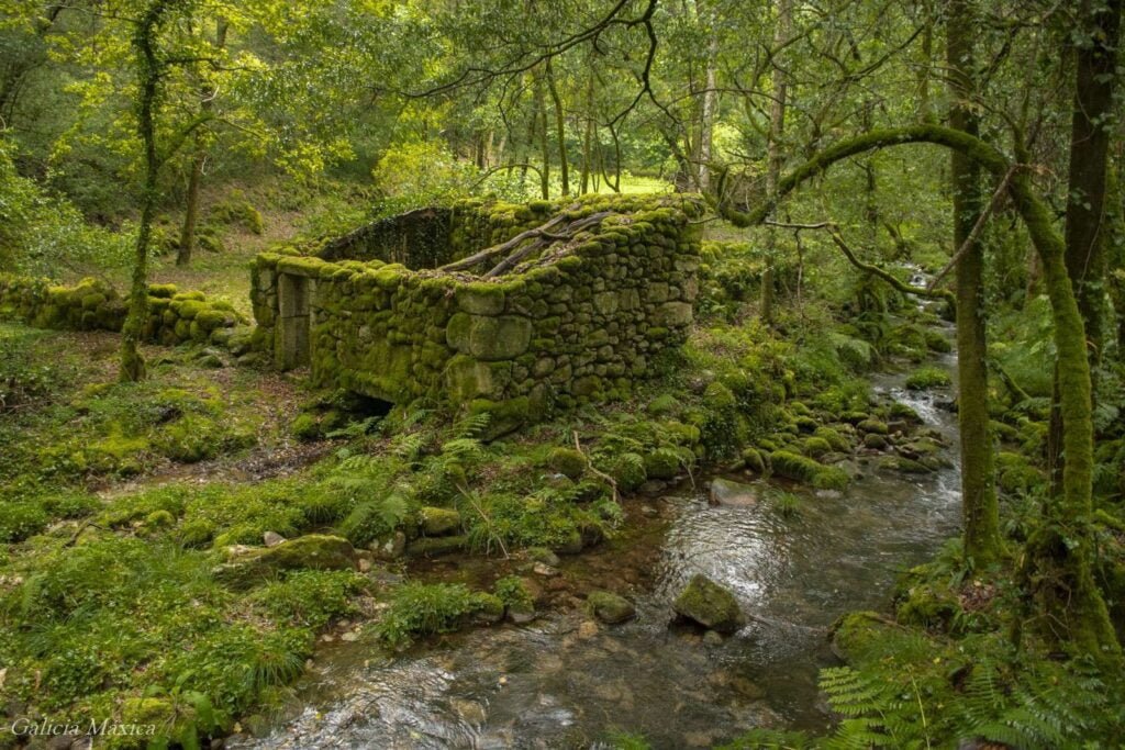 Molino en el sendero del río Fraga
