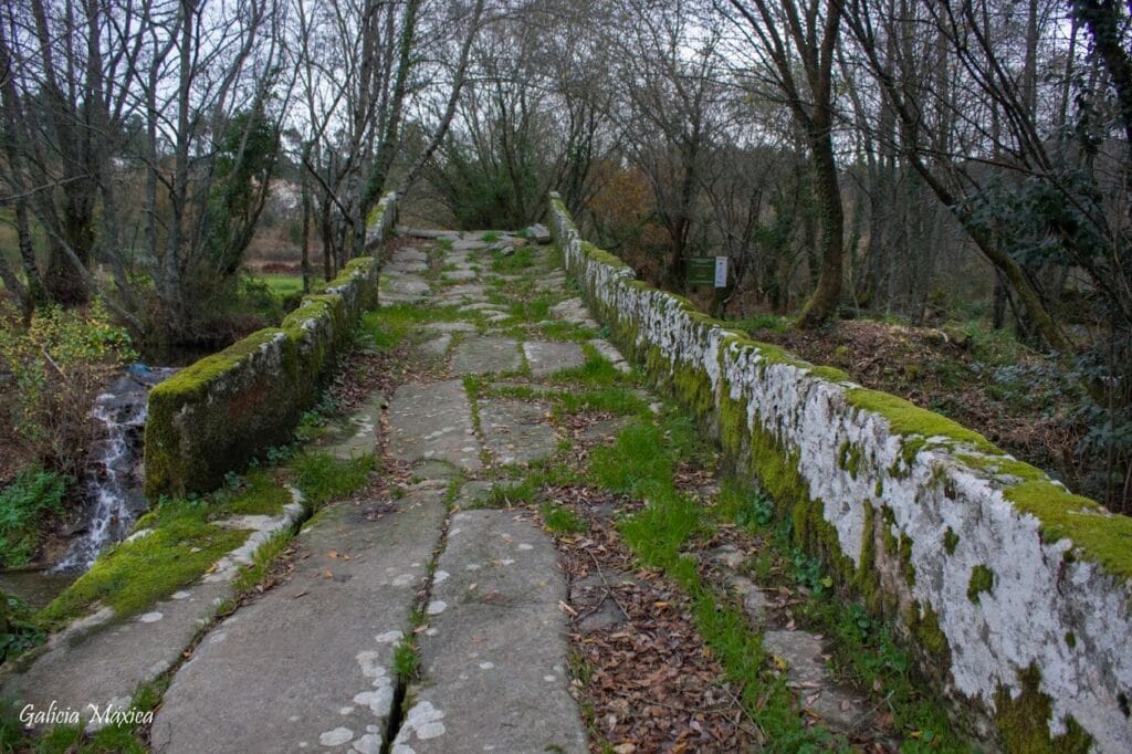 Calzada