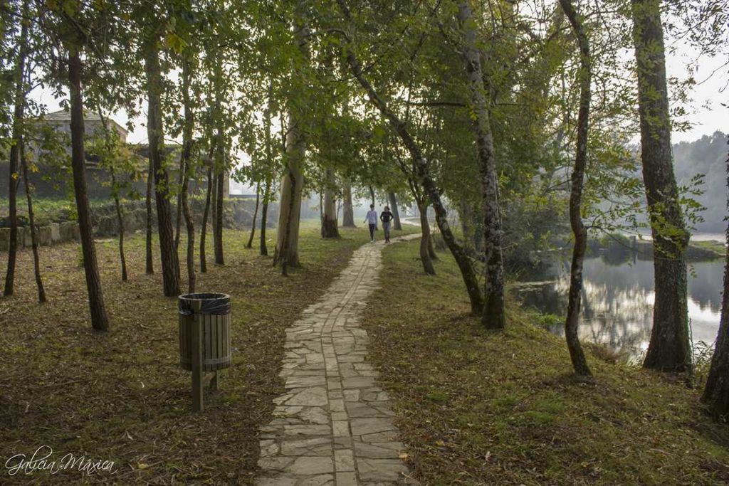 Paseo campo de Santa Isabel