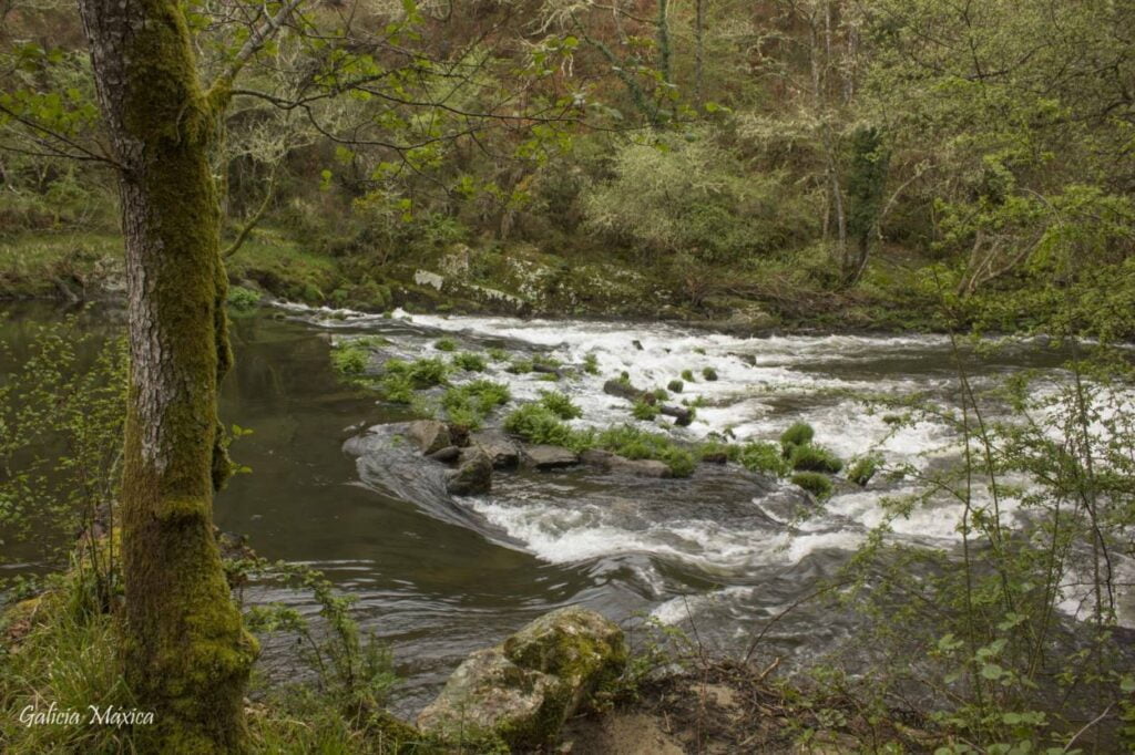 Presa de los molinos