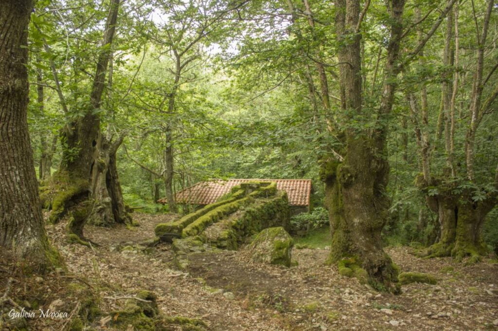 Molinos de Entrambosríos