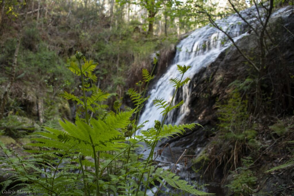 Fervenza de Pindilleira