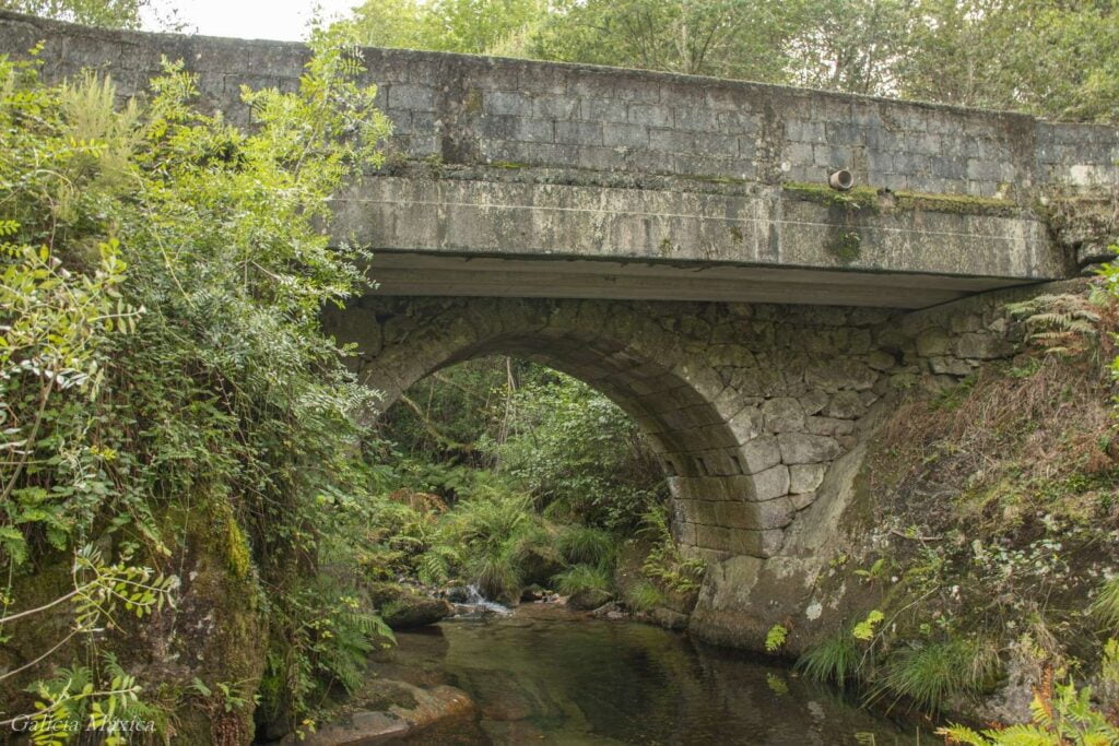 Ponte Carreira