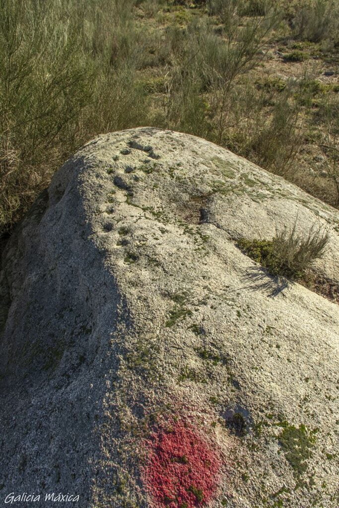 Petroglifo Cabeza da Meda en Montederamo