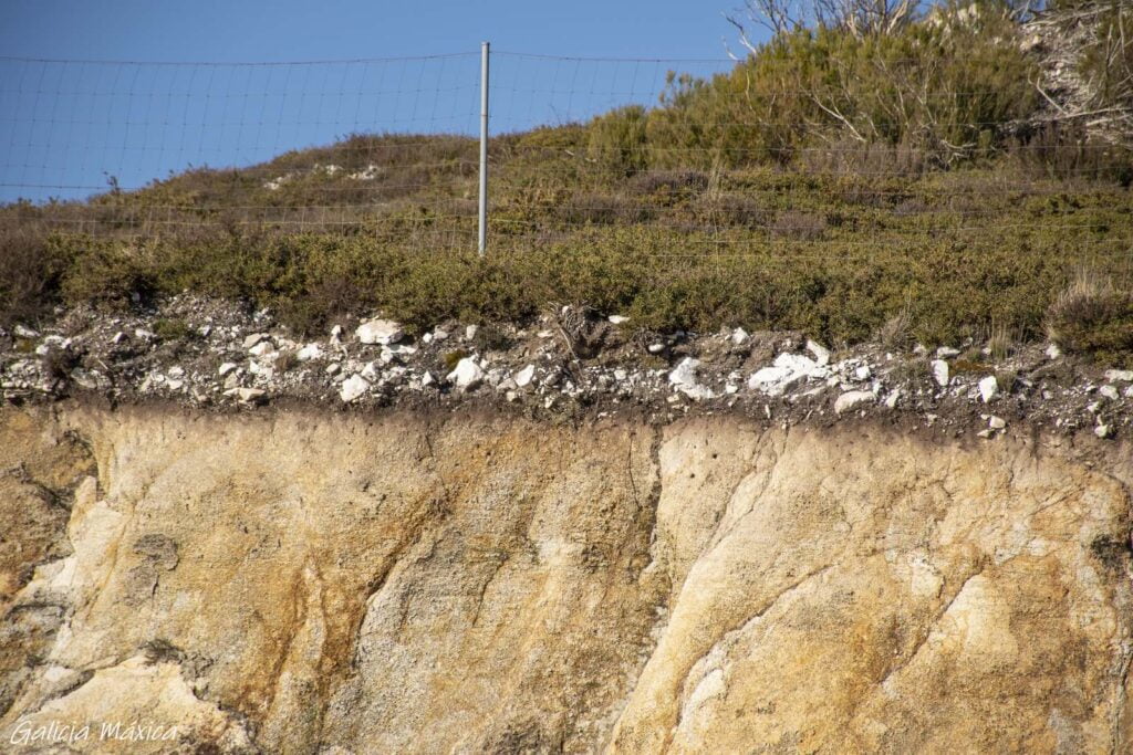 Veta de cuarzo de Cabeza de Meda