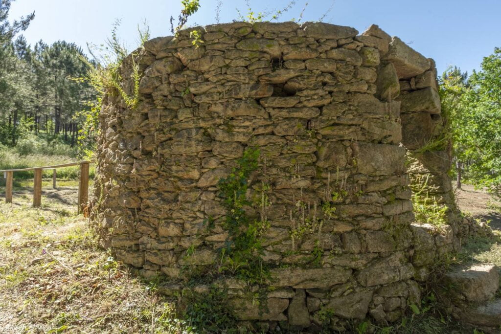 Telleira de Padín
