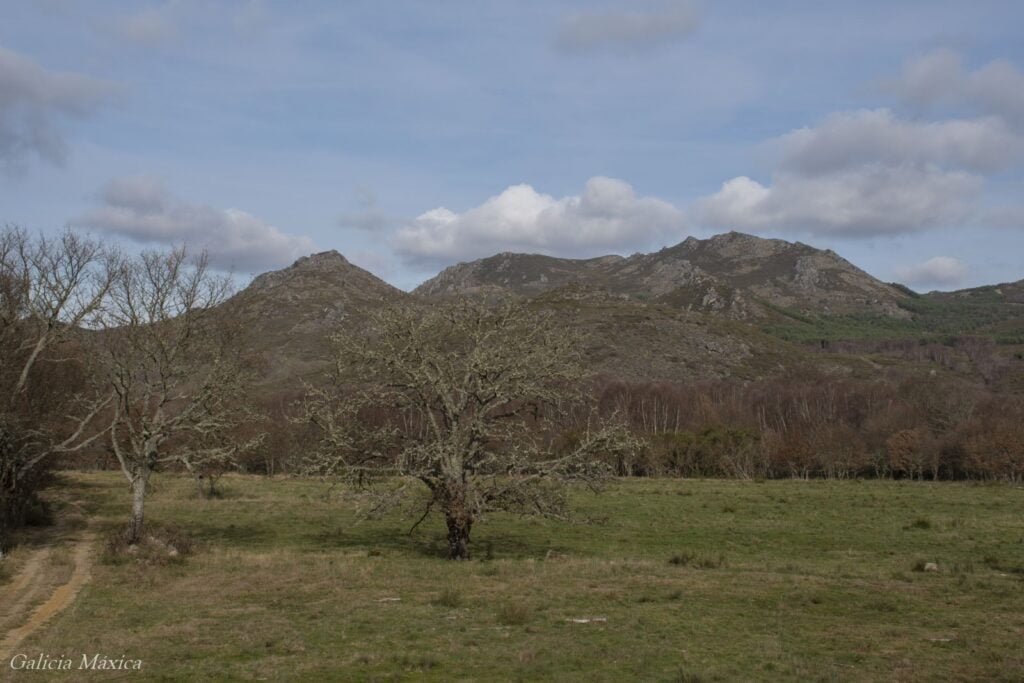 Calvos de Randín