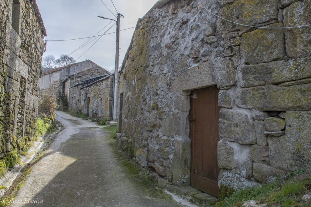 Calvos de Randín