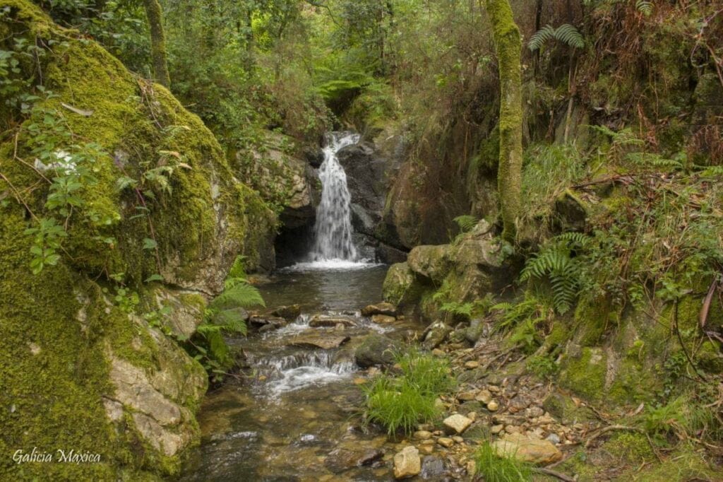 Rego da Freixa