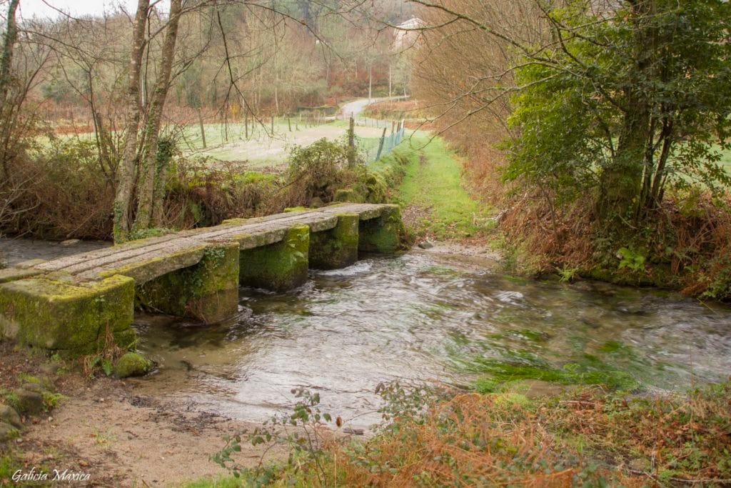 Sendero del río Aboal