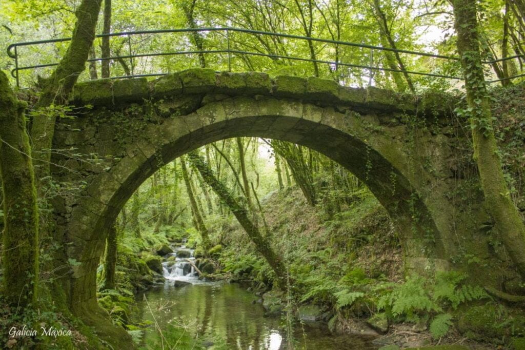 Puente río Maneses