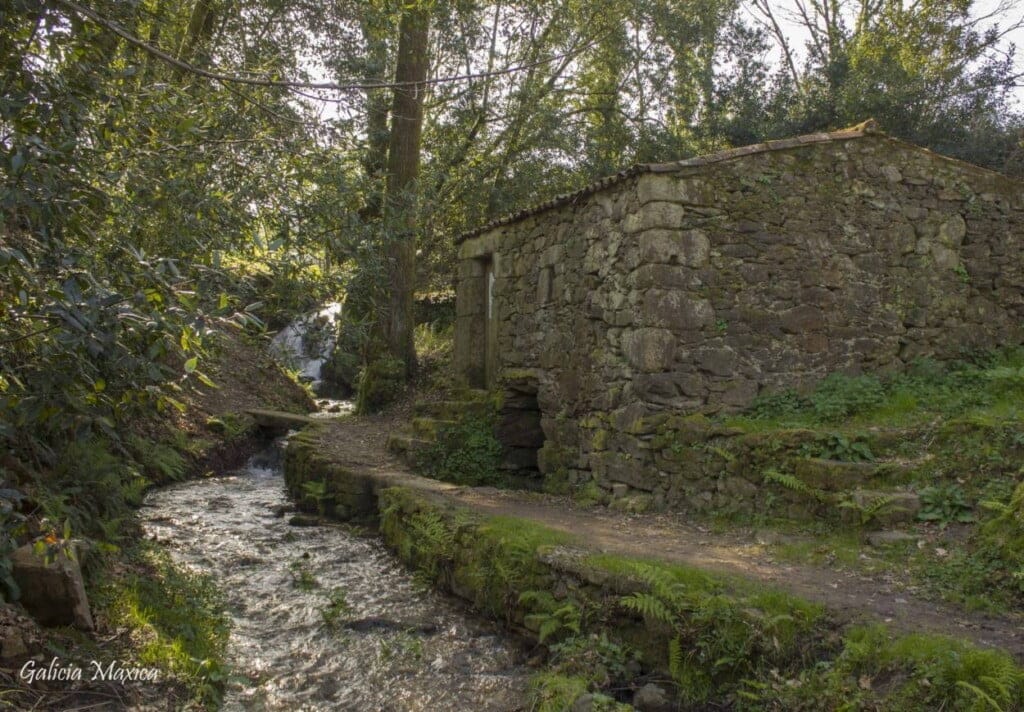 Molinos de Pereiras