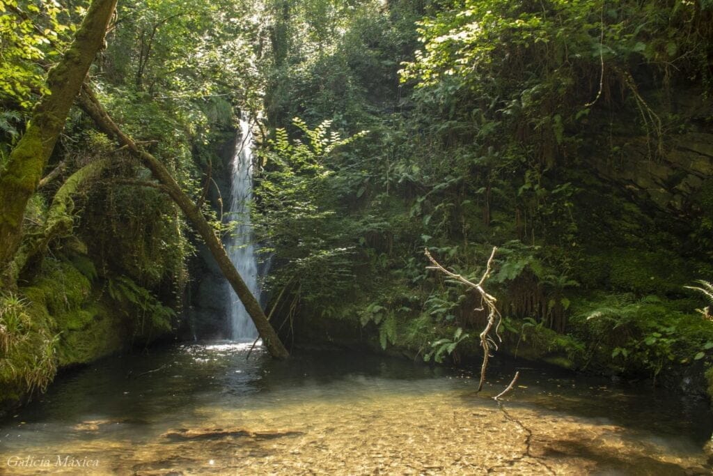 Seimieiras de Queixoiro