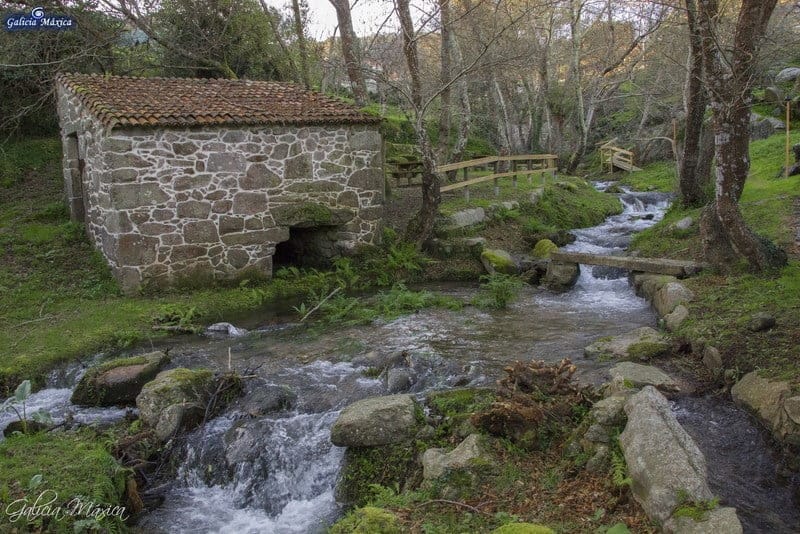 Molinos de Samieira