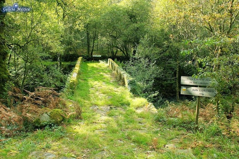 Ruta da Liberdade o Tras Os Pasos do Río Barbeira