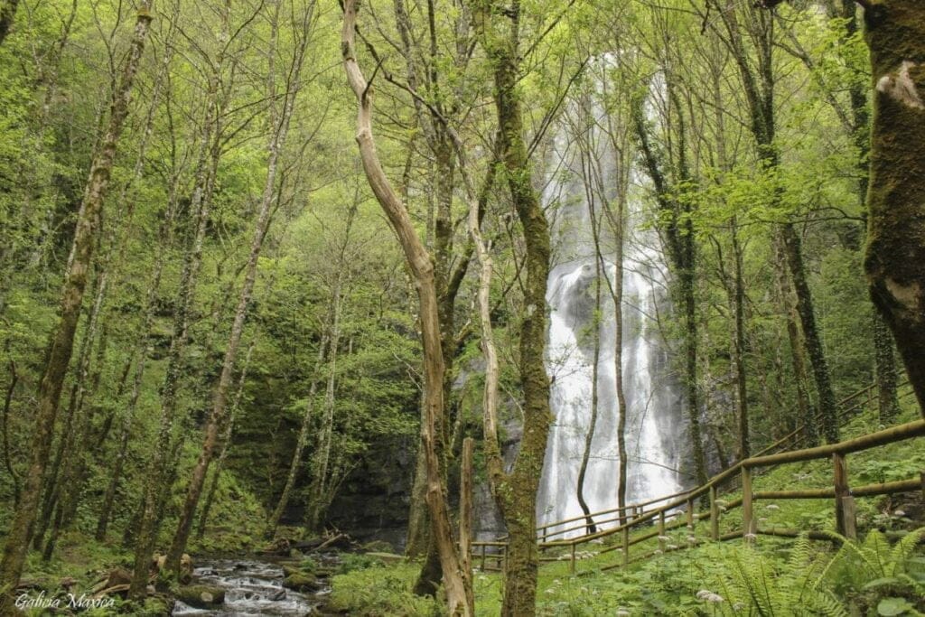 Una de las fervenzas más desconocidas e impresionantes de Galicia. Una preciosa ruta que nos acercará a su majestuosidad.