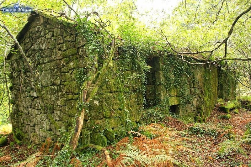 casapeste153