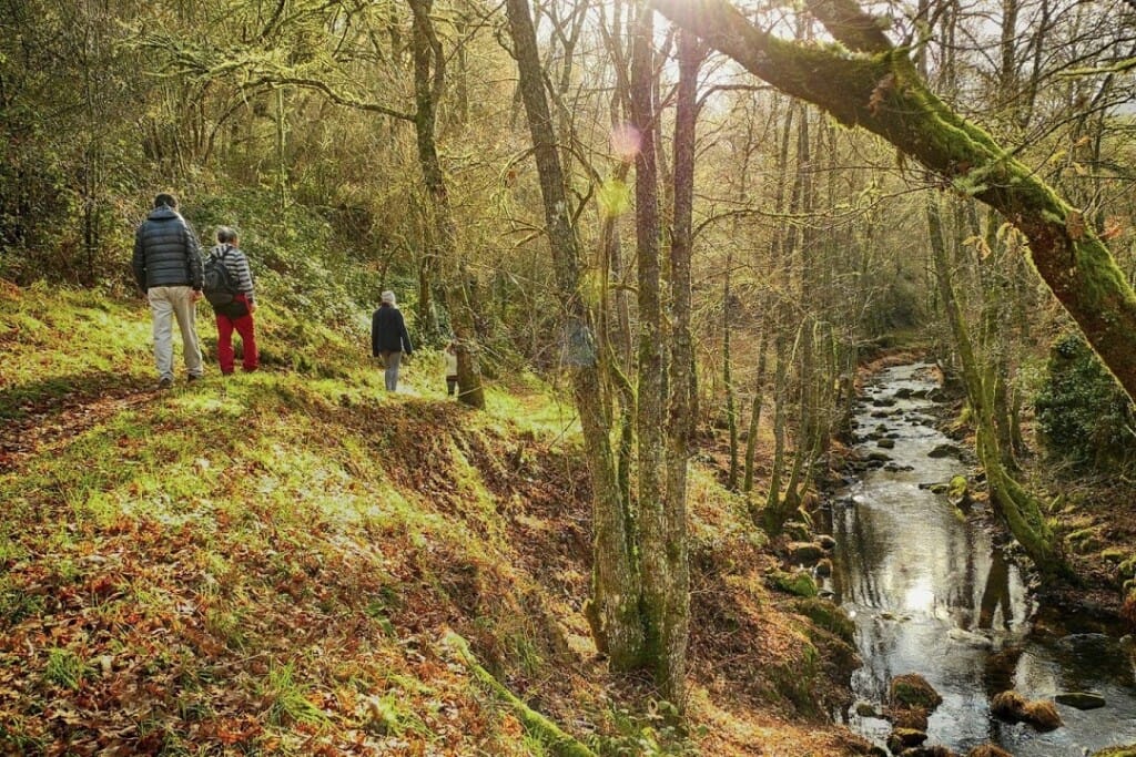 Ruta "Os Bosques Máxicos"