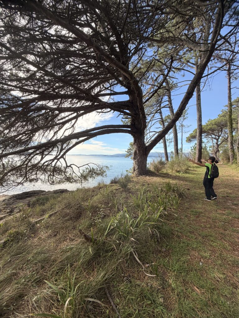 La isla de Cortegada