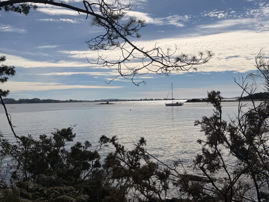 La isla de Cortegada