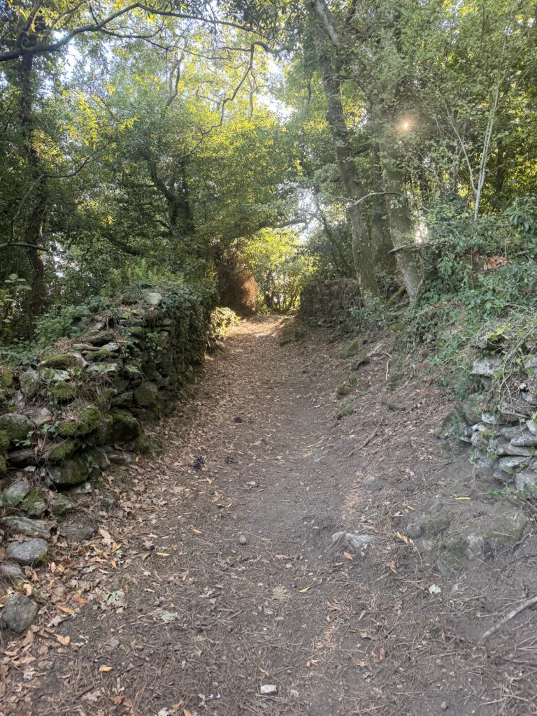 camino en la isla de Cortegada