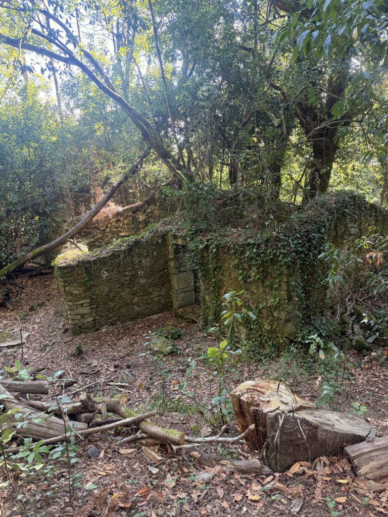 aldea abandonada en la isla de Cortegada