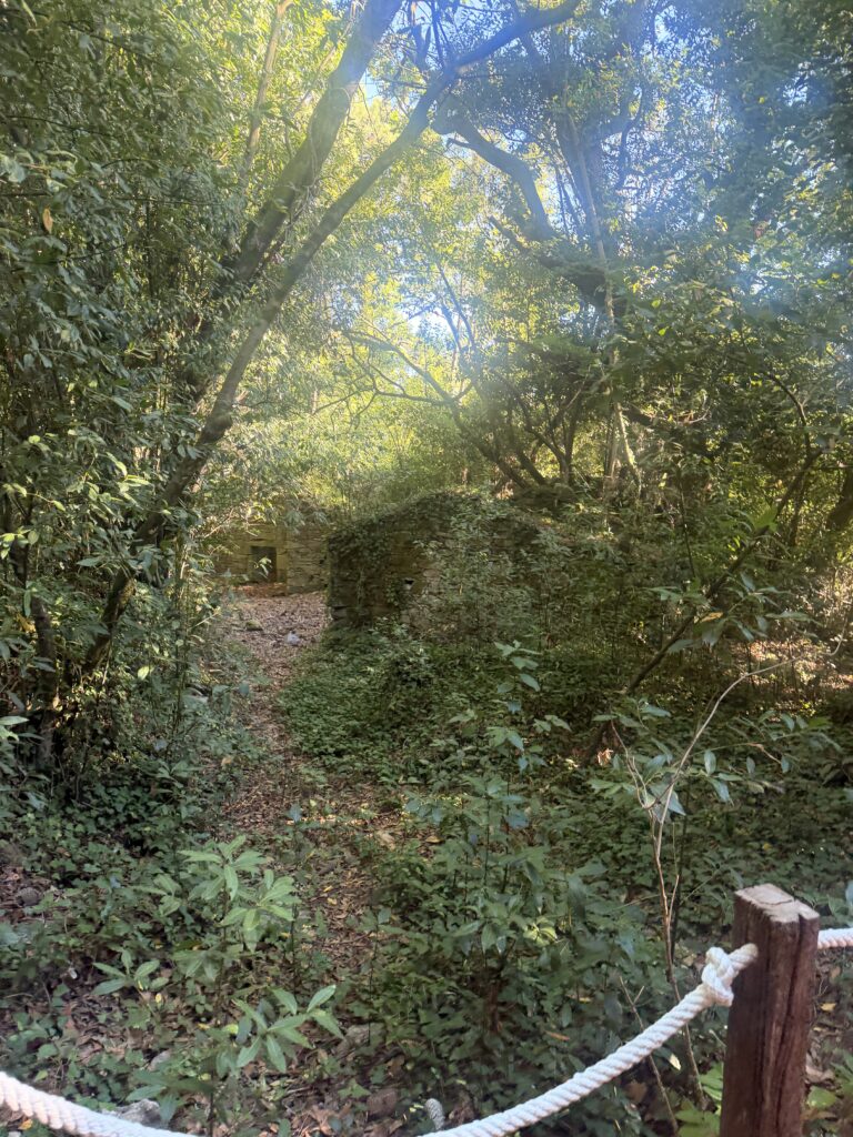 aldea en ruinas de la isla de Cortegada
