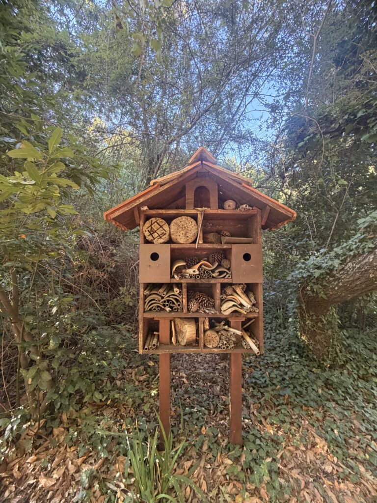 casa de insectos en la isla de Cortegada